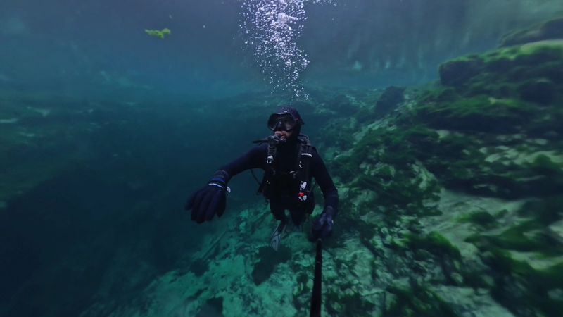 Why Snorkelers and Divers Love Troy Springs