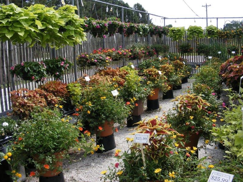Kellum Farms Garden Center