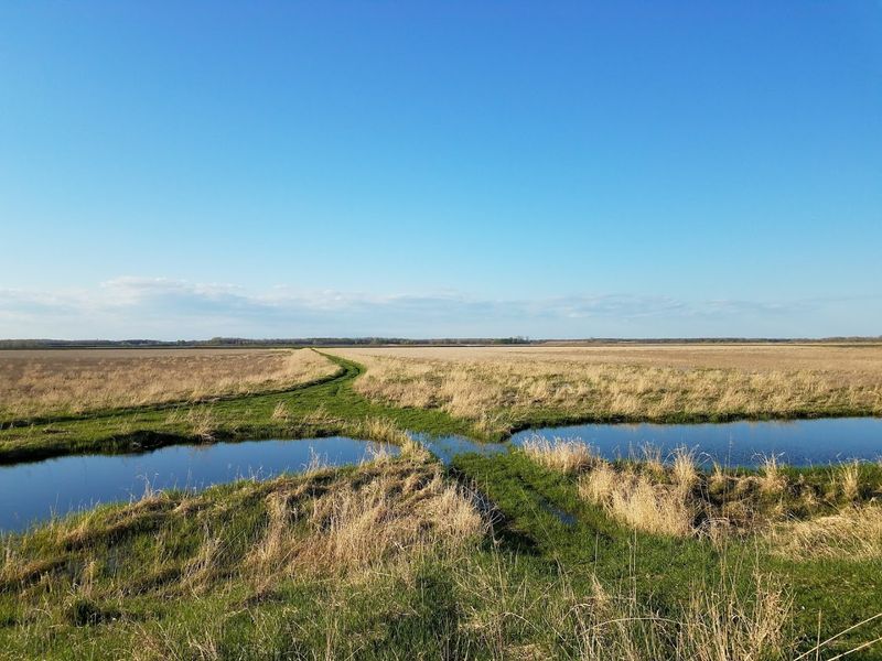 Shiawassee National Wildlife Refuge - Saginaw, Saginaw County