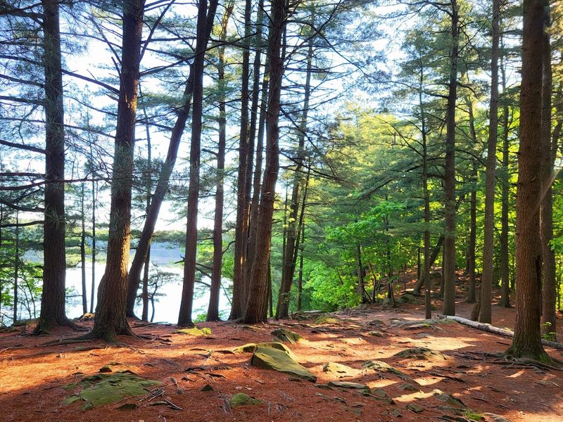 West Rock Ridge State Park