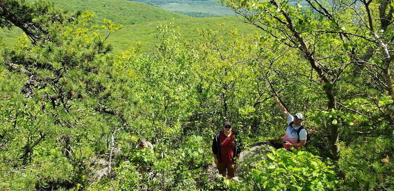 Bear Mountain Trail (Appalachian Trail)
