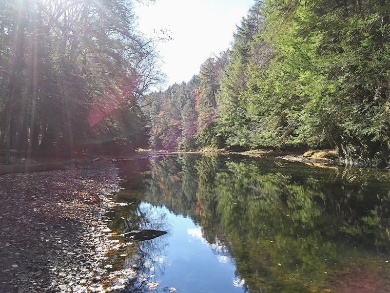 A Soundscape of Water, Birds, and Small Movement
