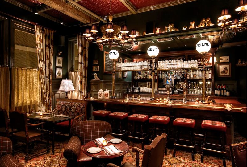 The Dandelion - Philadelphia