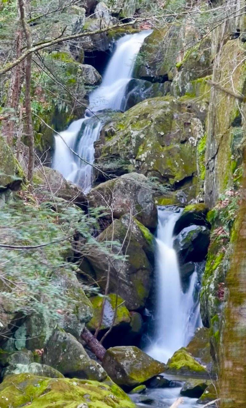 Goldmine Brook Falls