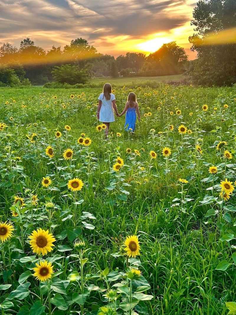 Walker Flower Farm