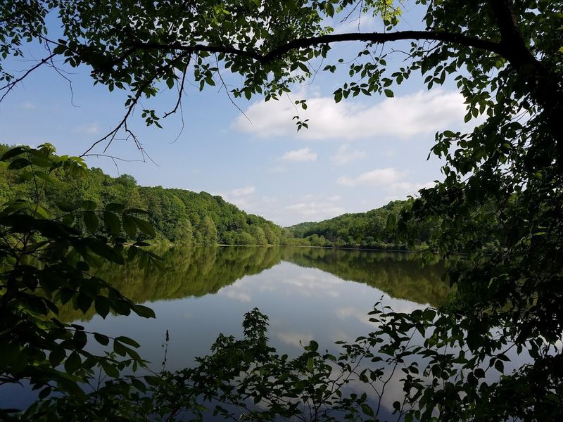 Salt Fork Lake