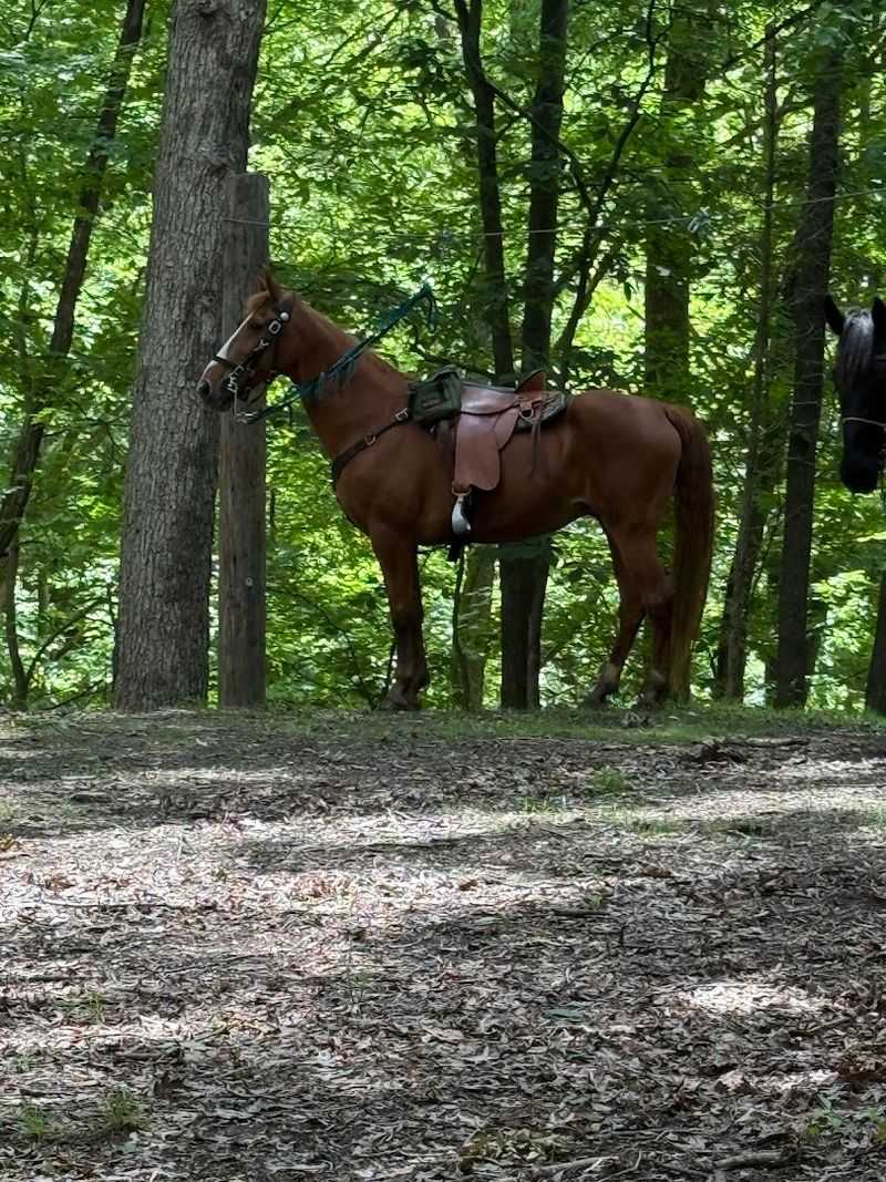 East Fork State Park 
