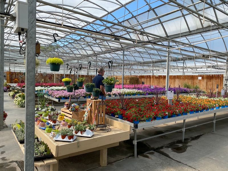 Wojo's Greenhouse, Ortonville, Oakland County,