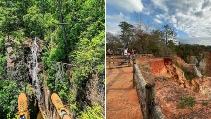 The 13 Georgia Trails Outdoor Lovers Can’t Stop Recommending