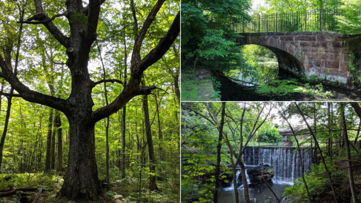 The 13 Longest Bike Trails In Connecticut Are Surprisingly Scenic