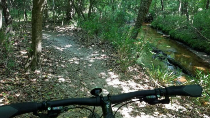 The 13 Longest Bike Trails In North Carolina Are Packed With Scenic Beauty