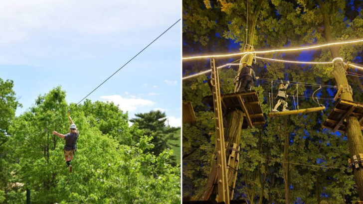 The 15 Best Adventure Parks To Visit In Michigan This Summer