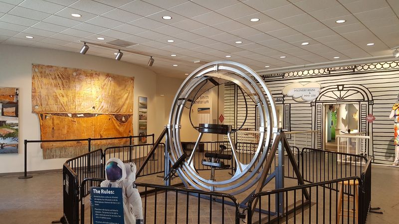 The Museum of Arts and Sciences - Macon
