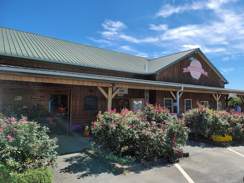 Chiles Peach Orchard — Crozet