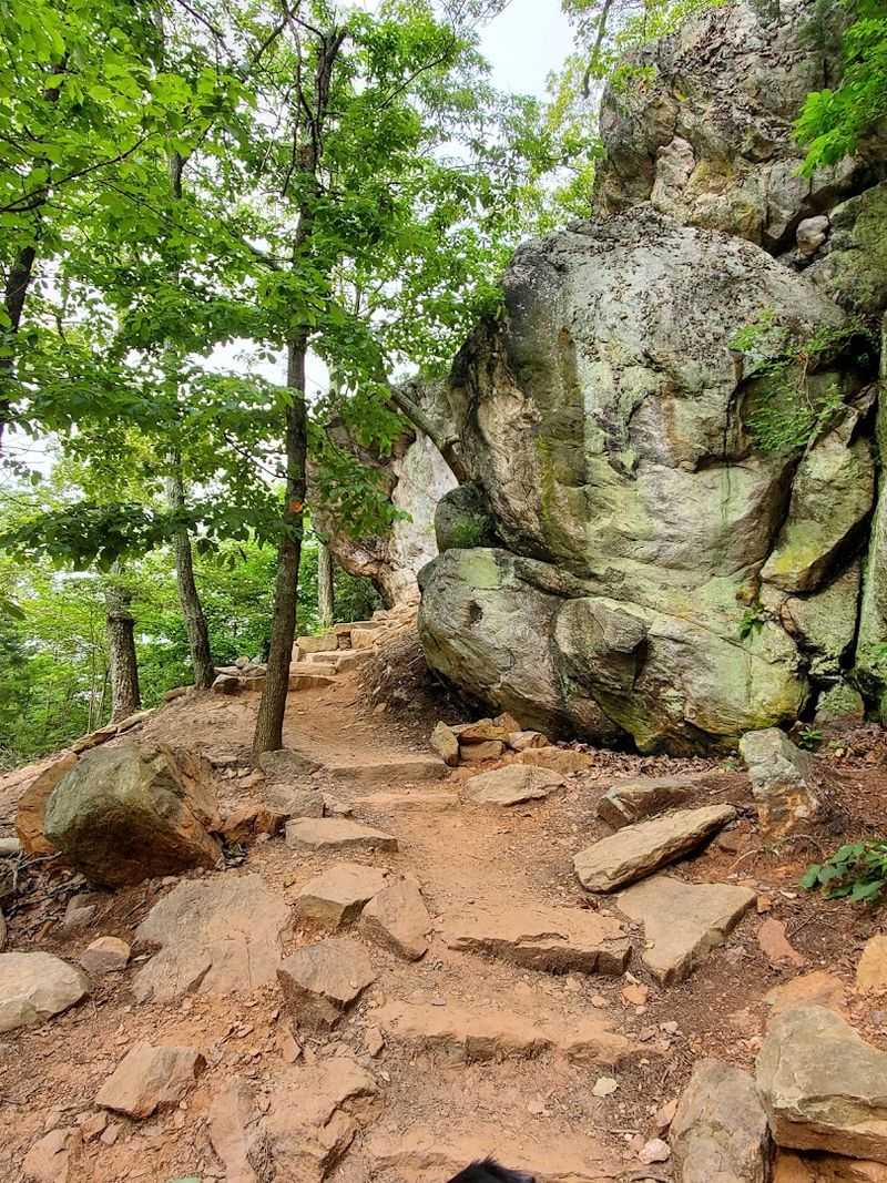 Conquering Crowders Mountain Summit