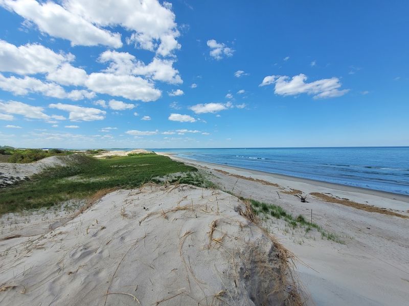 Crane Beach