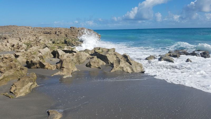 Anastasia Limestone Shoreline