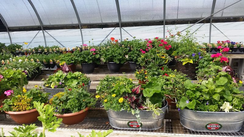 Hirsch Fruit Farm 