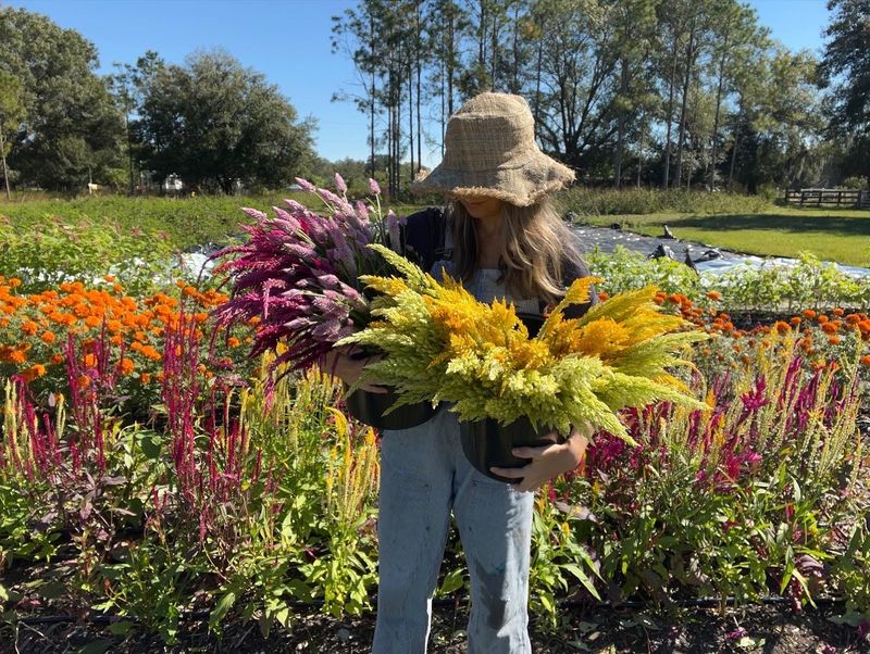 Mindful Blooms Farm