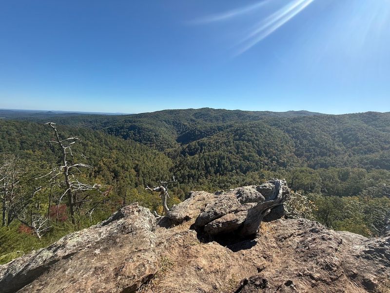 Ridge Top Vista Adventure