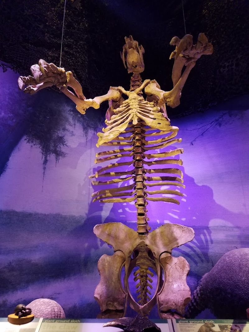 Florida Museum of Natural History
