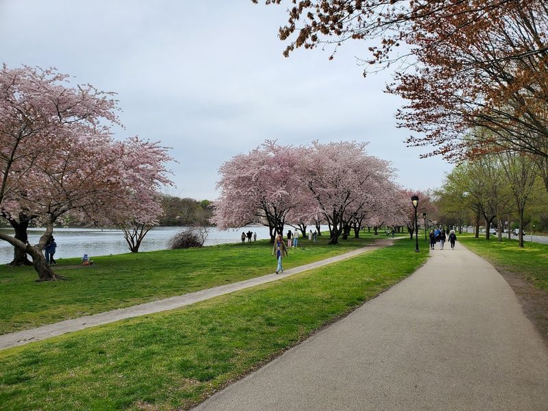 Schuylkill River Trail