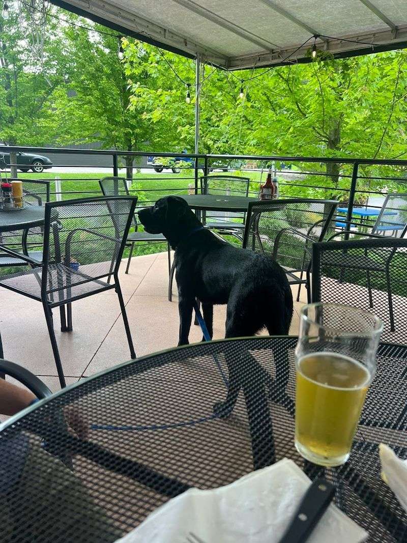 Petoskey Brewing