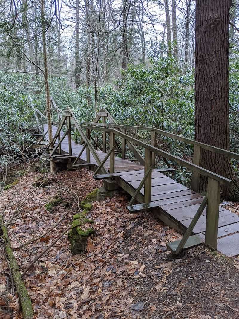 Charming Wooden Bridge Crossings