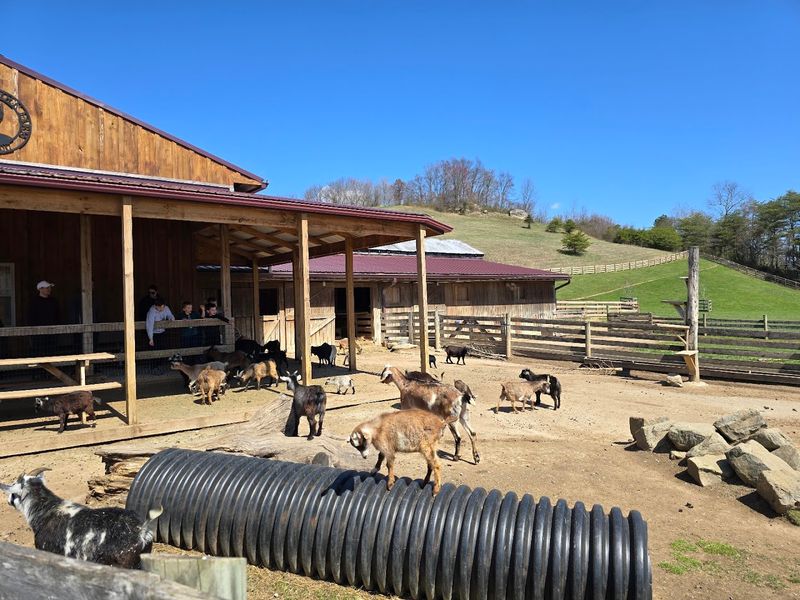 Fox's High Rock Farm, Logan