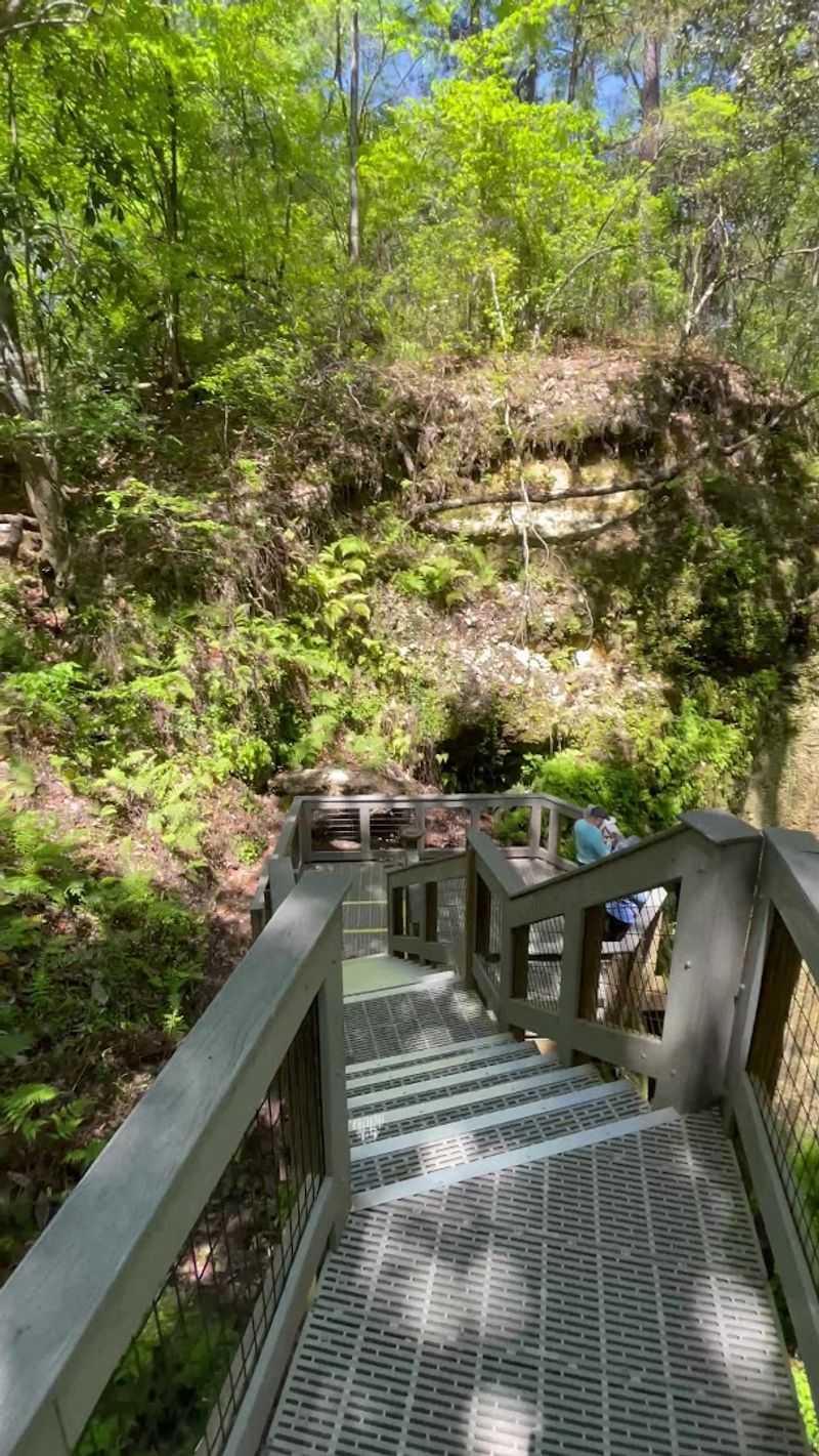 A landscape that feels unlike the rest of the state