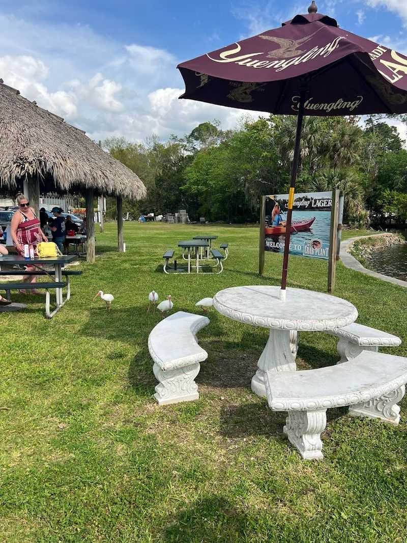 The Crab Plant — Crystal River, Florida