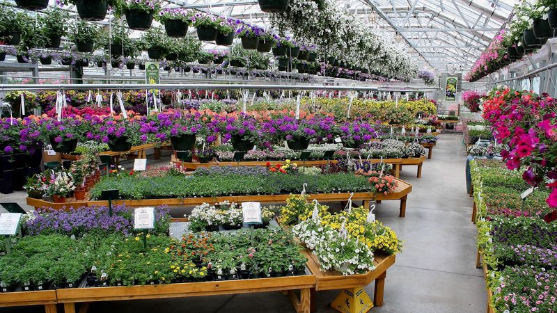Sam Bridge Nursery & Greenhouses - Greenwich, Fairfield County,