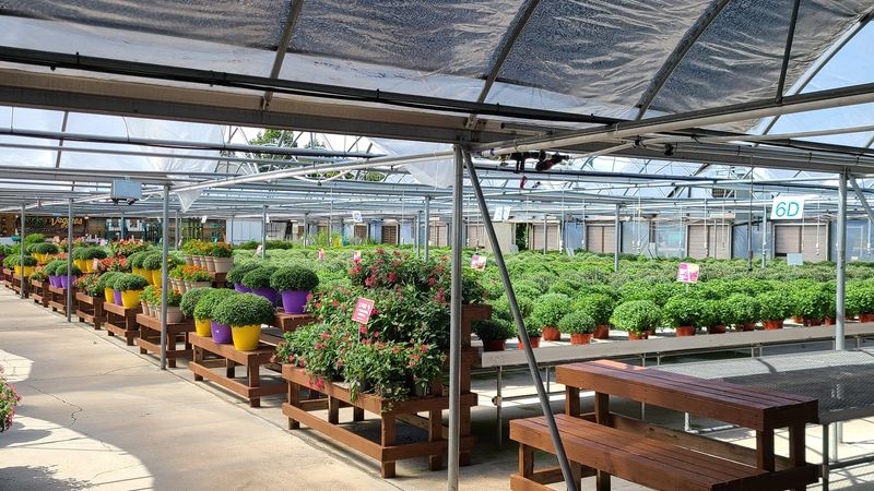 Anderson's Garden Center - Newport News, Newport News