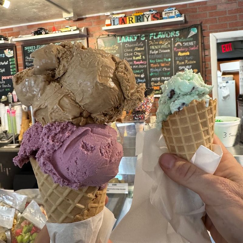 Larry's Ice Cream & Gelato &mdash; St. Pete Beach