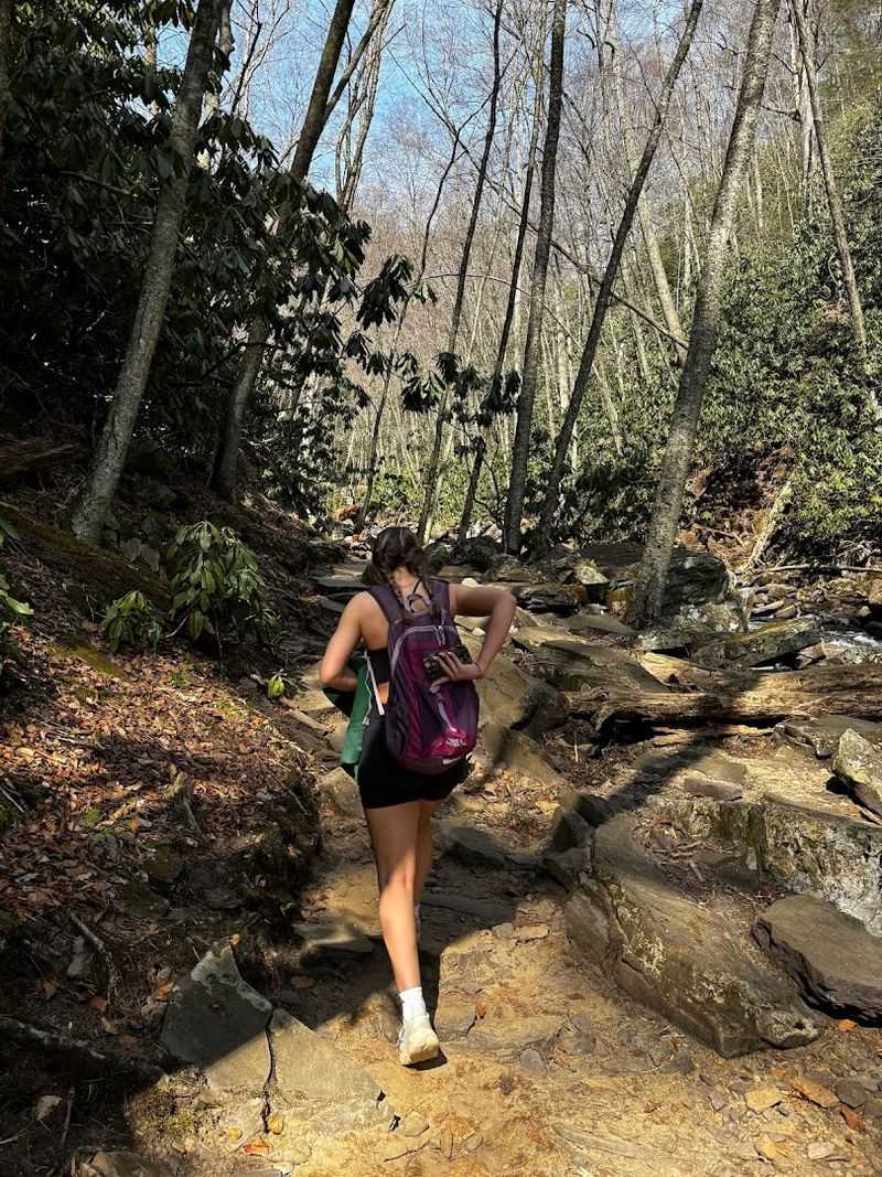 The Upper Trail Return Route