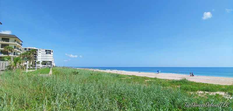 Ocean Views Around Nearly Every Bend