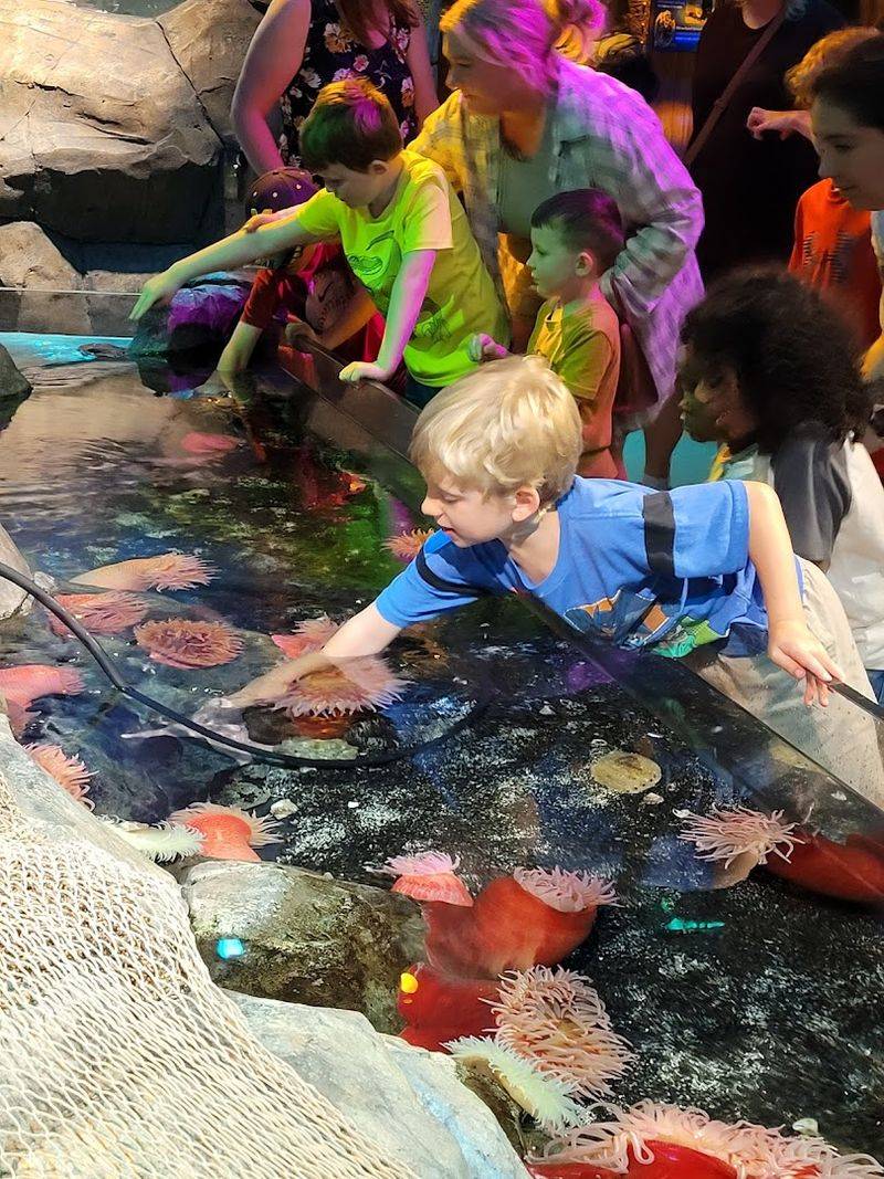 Hands-On Touch Pool Experience