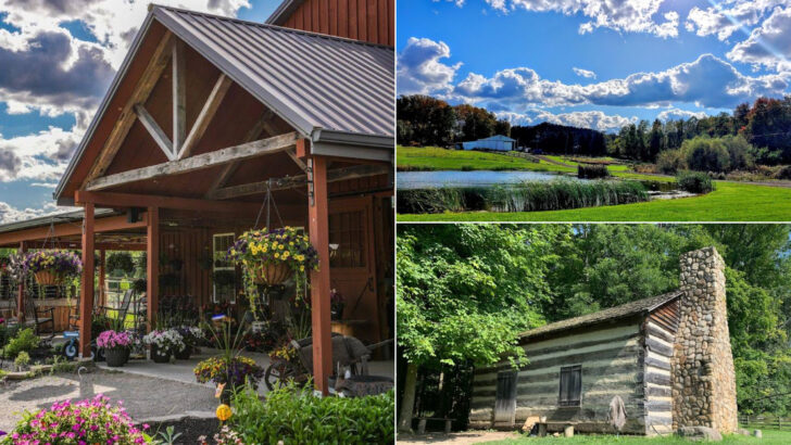 The Most Relaxing June Day You&rsquo;ll Have This Year Might Start At One Of These 12 Farms In Ohio
