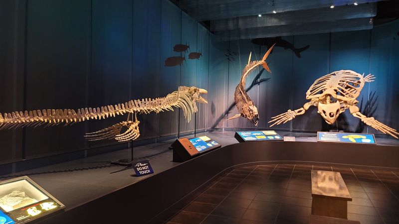 The Tellus Science Museum - Cartersville