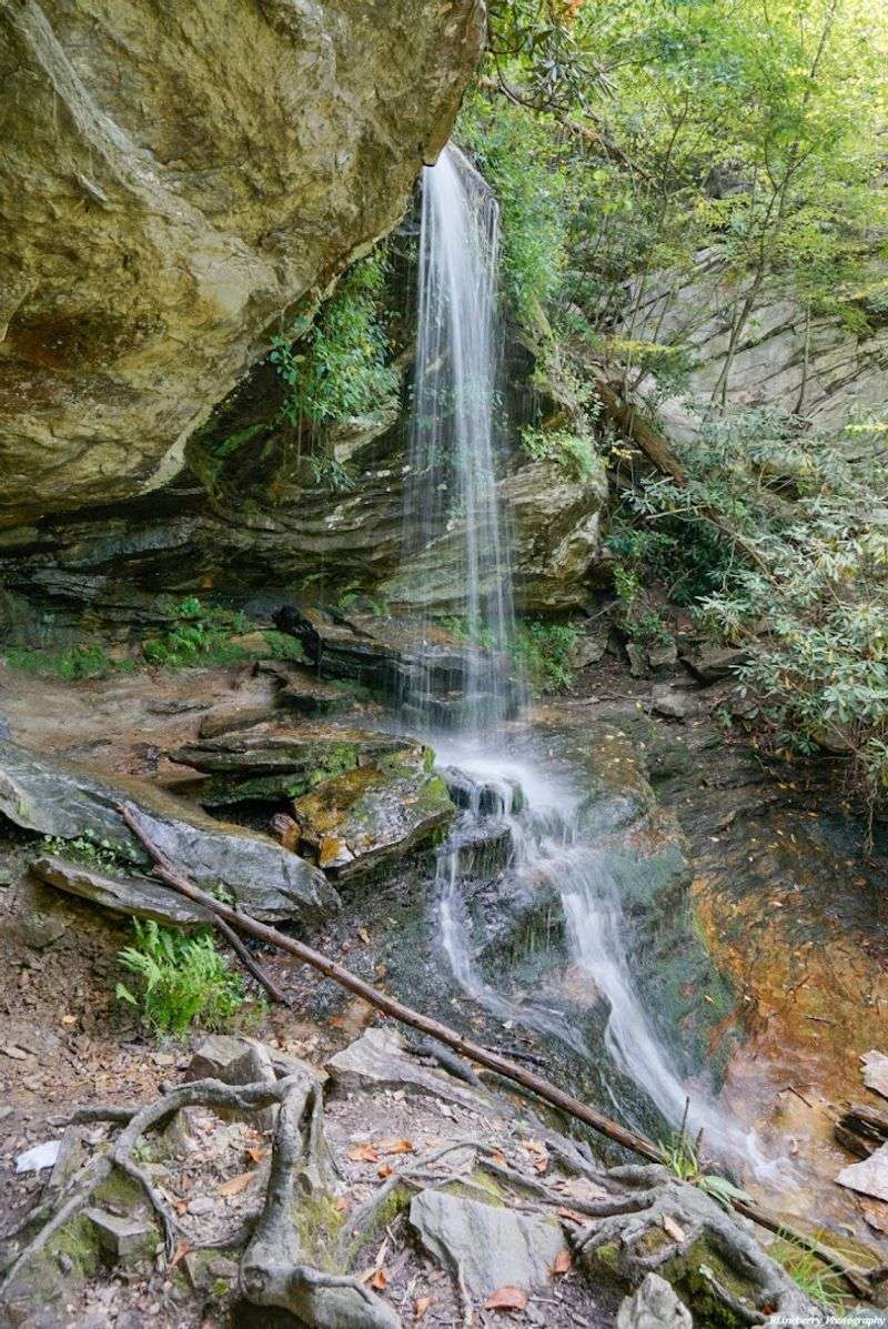 Secret Cascades Along Rocky Steps