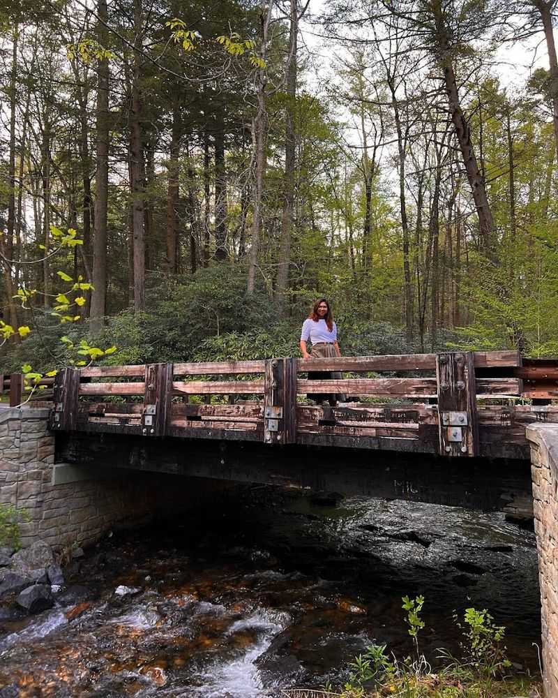 Forest Bathing and Natural Therapy