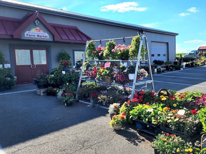 Brecknock Orchard&rsquo;s Apple Ridge Bakery 