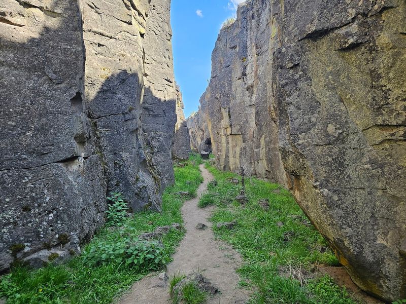 Crack in the Ground (Christmas Valley)