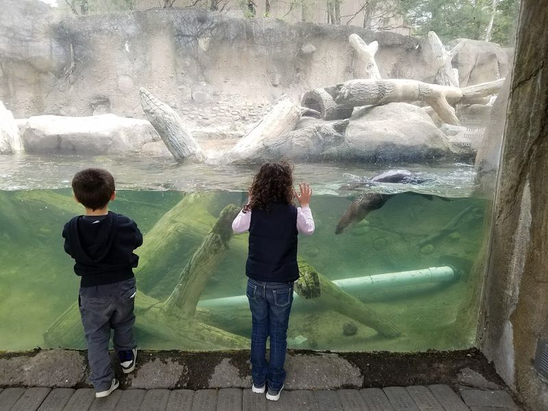 Children's Zoo at Celebration Square (Saginaw)