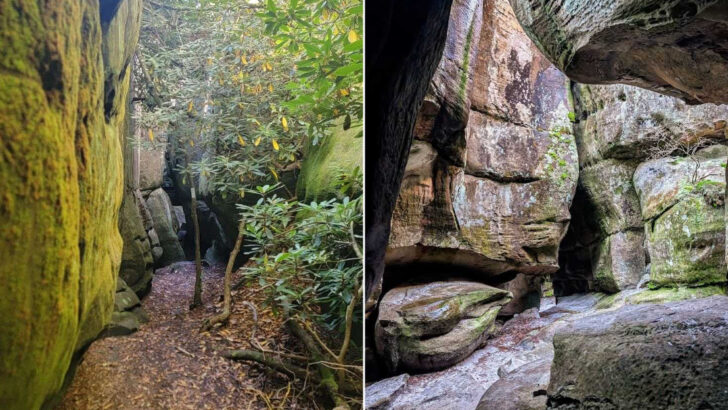 The Sandstone Maze At The End Of This Virginia Hike Feels Almost Unreal