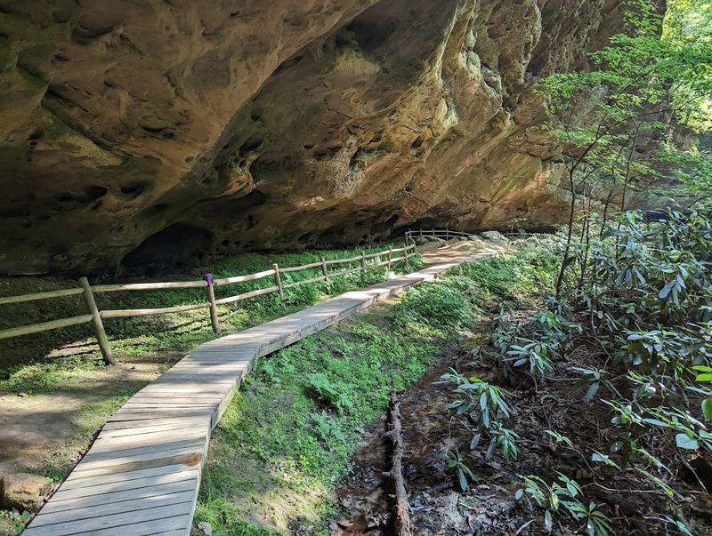 Hiking Trails That Lead to Natural Bridges and Hidden Caves