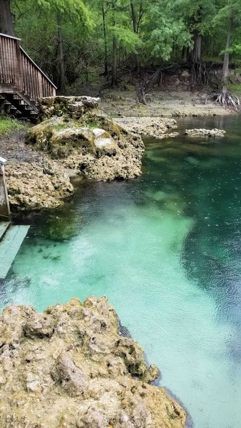 What Makes Troy Springs Feel Different From Florida's Busier Springs