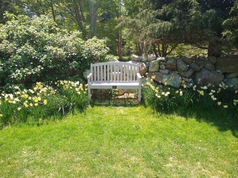 Polly Hill Arboretum (West Tisbury, Martha's Vineyard)
