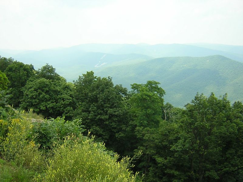 The Blue Ridge Parkway Creates the Town's Dreamlike Setting