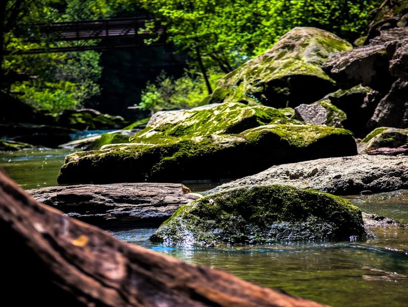 A Gorge That Gives The Park Its Drama